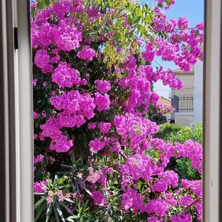 Beautiful Bacvice * Spalato