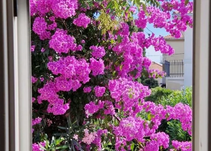 Beautiful Bacvice * 스플리트
